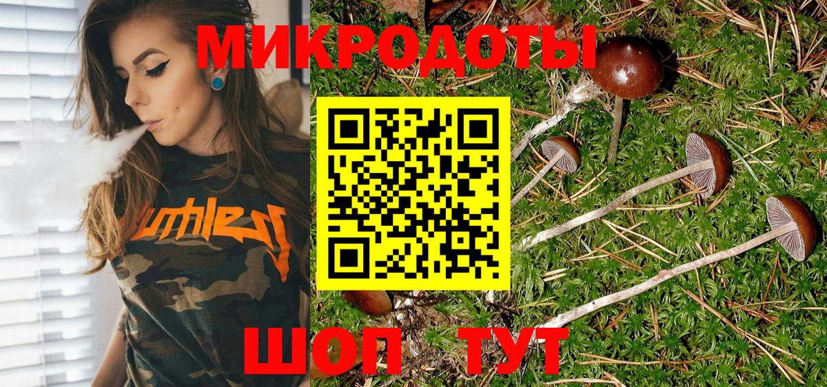 Псилоцибиновые грибы MAGIC MUSHROOMS Чайковский