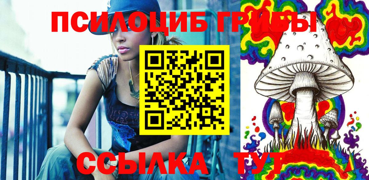 Чайковский  Галлюциногенные грибы Psilocybe  Вход с VPN 